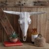 Longhorn Resin Skull
