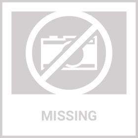 Animal Bookends (Animal: Roman Horse)