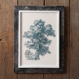 Vintage Tree Wall Art (Tree: English Oak)