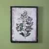 Botanical Wall Decor
