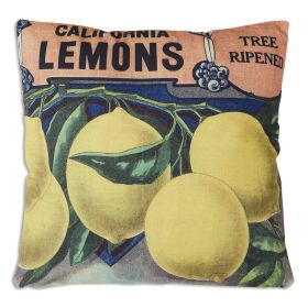 Fruit Throw Pillow (Style: Lemons)