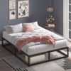 10-inch Low Profile Modern Metal Wood Slat Platform Bed Frame