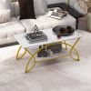 Modern 2 Tier Coffee Table with Metal Curved Legs