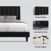 Modern Black Velvet Upholstered Platform Bed with Headboard