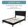 Modern Black Velvet Upholstered Platform Bed with Headboard