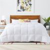 Cozy All Seasons Plush White Polyester Down Alternative Comforter