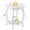 Modern Nightstand End Table with Bottom Shelf Wood Finish - Set of 2